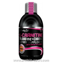 Л-Карнітин, L-carnitine 70.000 mg + Chrome Liquid 500ml BioTech Апельсин