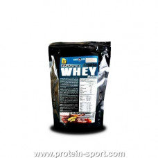 Протеин Platinum Whey Basic 500г
