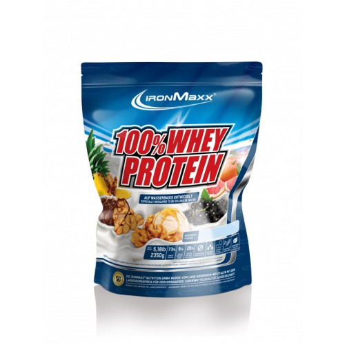 Протеїн 100% Whey Protein 500 гр (пакет) Банановий йогурт
