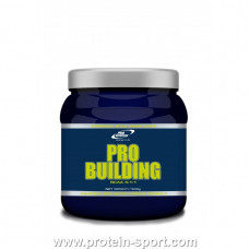Pro Nutrition Pro Building BCCA  4.1.1 500 грам