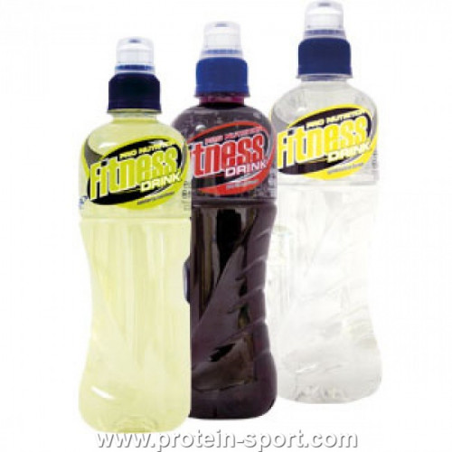 Pro Nutrition Fitness Drink 500 мл